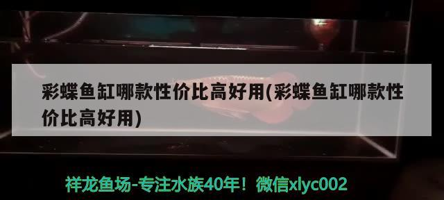 彩蝶魚缸哪款性價比高好用(彩蝶魚缸哪款性價比高好用)