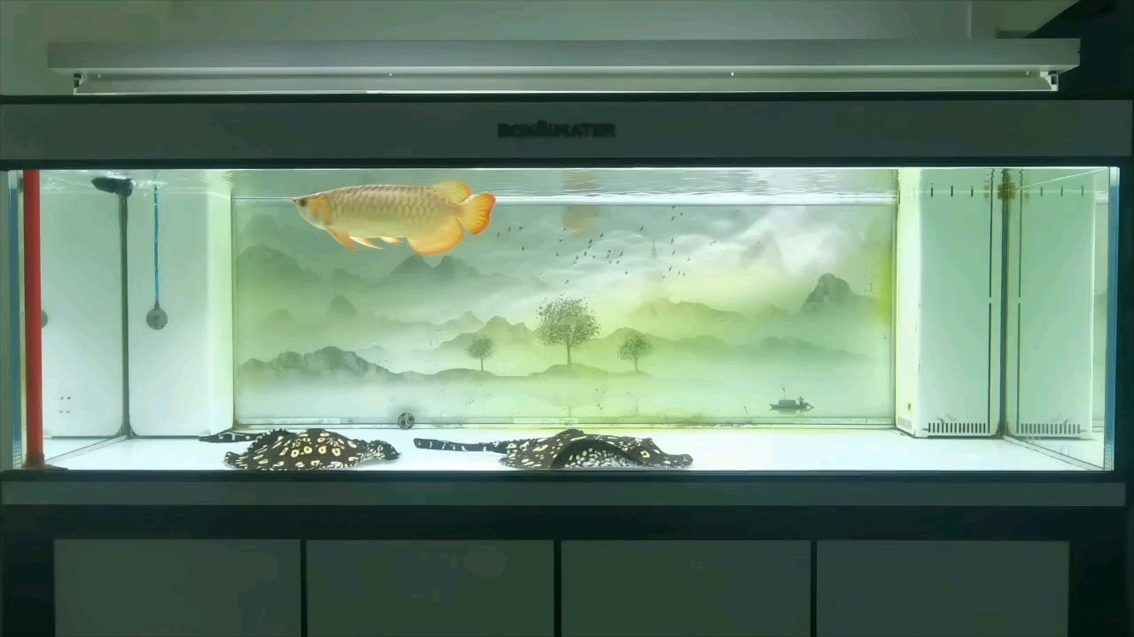 2025運氣滿滿！