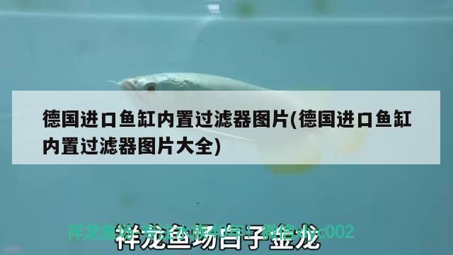 長沙 魚缸定制店在哪里（濟(jì)南康之居家裝）