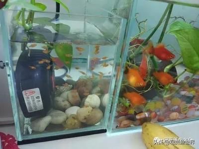 老魚匠官方售后服務電話（老魚匠產品售后電話）