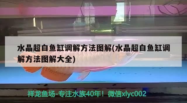 水晶超白魚缸調(diào)解方法圖解(水晶超白魚缸調(diào)解方法圖解大全) 水晶超白魚缸調(diào)解方法圖解(水晶超白魚缸調(diào)解方法圖解大全) 九鼎魚缸