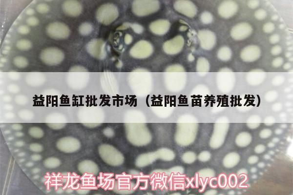 益陽魚缸批發市場（益陽魚苗養殖批發）