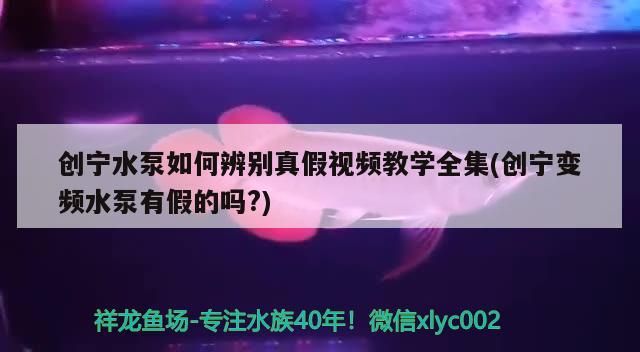 創寧水泵如何辨別真假視頻教學全集(創寧變頻水泵有假的嗎?)