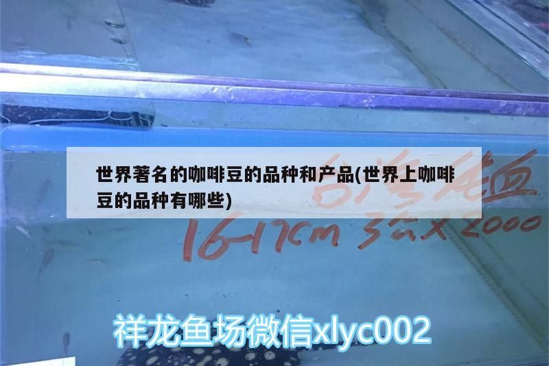 世界著名的咖啡豆的品種和產(chǎn)品(世界上咖啡豆的品種有哪些)
