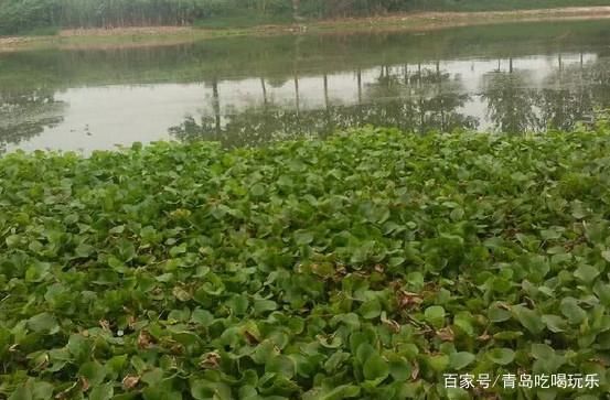 伊罕過(guò)濾桶出水量特別小正常嗎（伊罕過(guò)濾桶出水量特別小正常嗎為什么）