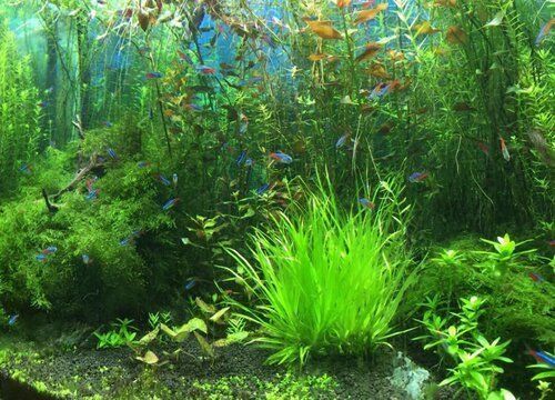 伊罕加熱棒指示燈一直亮（伊罕加熱棒指示燈一直亮怎么回事）