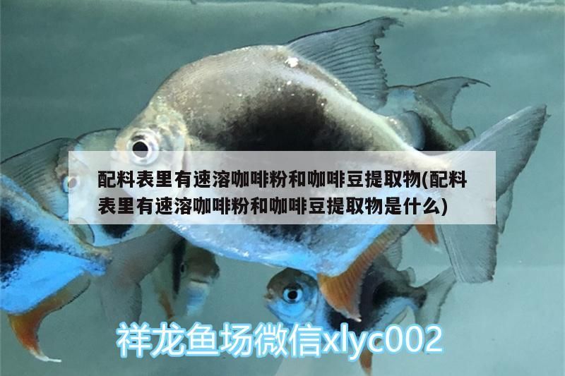 印尼虎魚多少溫度飼養(yǎng)最好:印尼虎魚多少溫度飼養(yǎng)最好印尼虎魚多少溫度飼養(yǎng)最好 配料表里有速溶咖啡粉和咖啡豆提取物(配料表里有速溶咖啡粉和咖啡豆提取物是什么) 馬來西亞咖啡 配料表里有速溶咖啡粉和咖啡豆提取物(配料表里有速溶咖啡粉和咖啡豆提取物是什么) 配料表里有速溶咖啡粉和咖啡豆提取物(配料表里有速溶咖啡粉和咖啡豆提取物是什么) 馬來西亞咖啡