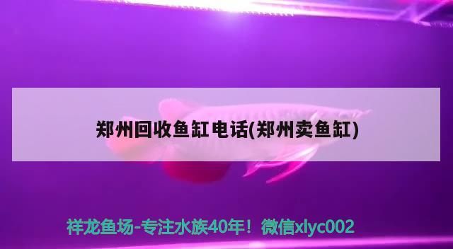 鄭州回收魚缸電話(鄭州賣魚缸)