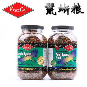 金龍魚活餌料的喂食頻率：金龍魚不同季節的喂食調整,金龍魚過冬的飼養技巧