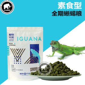 金龍魚活餌料的喂食頻率：金龍魚不同季節的喂食調整,金龍魚過冬的飼養技巧