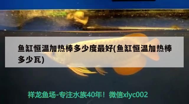 魚缸恒溫加熱棒多少度最好(魚缸恒溫加熱棒多少瓦)