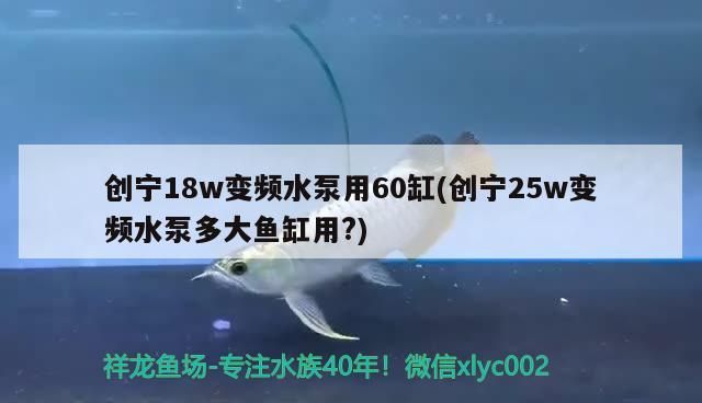 創寧18w變頻水泵用60缸(創寧25w變頻水泵多大魚缸用?)