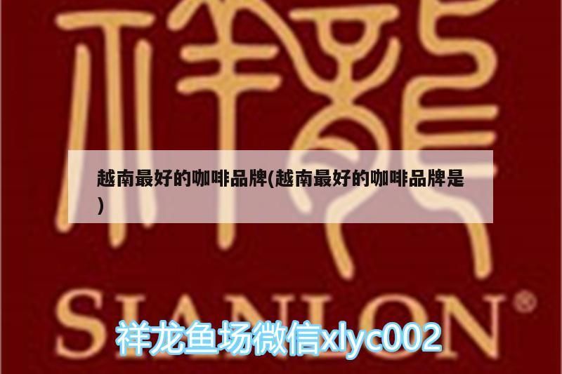 越南最好的咖啡品牌(越南最好的咖啡品牌是)