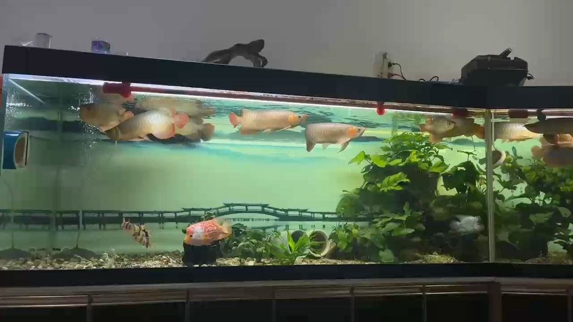 2025我來了，新年好！