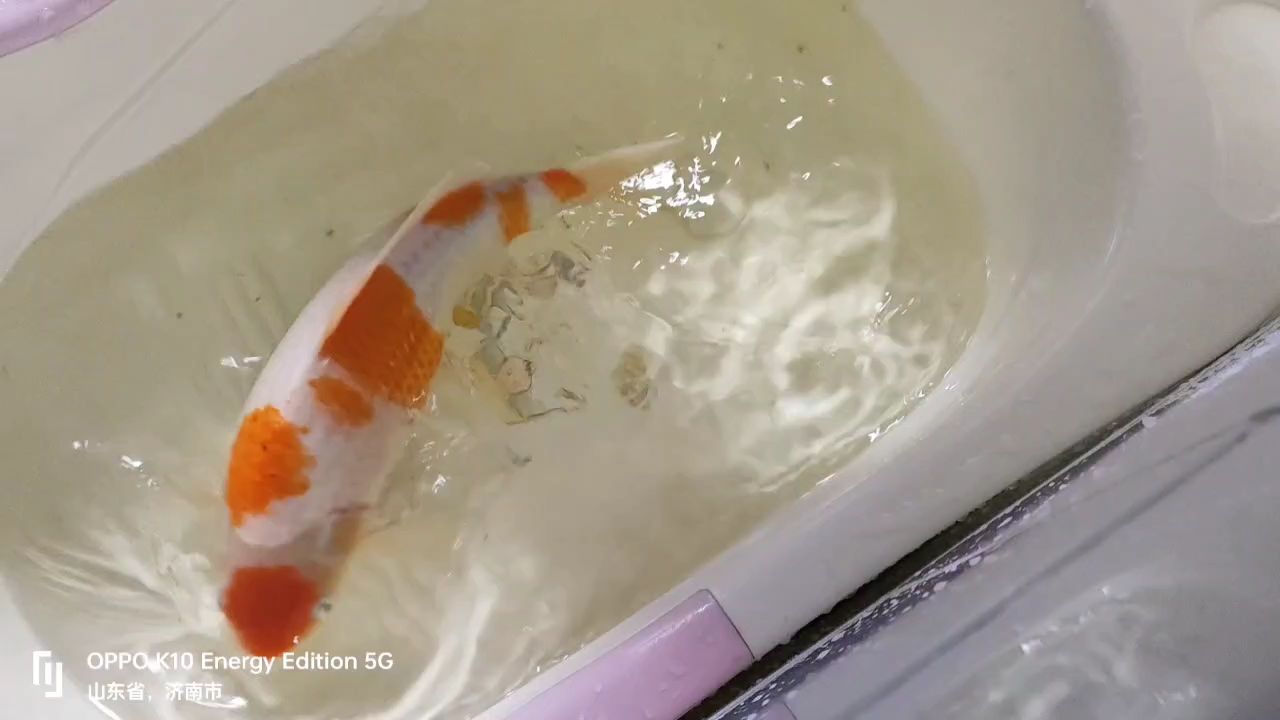 體格檢查