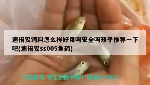 速倍妥飼料怎么樣好用嗎安全嗎知乎推薦一下吧(速倍妥ss005魚藥)
