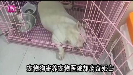 博特寵物診所電話：博特寵物診所電話是19866098916] 博特寵物診所電話：博特寵物診所電話是19866098916] 博特水族 第2張