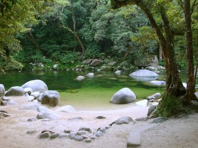 黃金貓魚幼魚營養需求分析（黃金貓魚幼魚的營養需求分析）