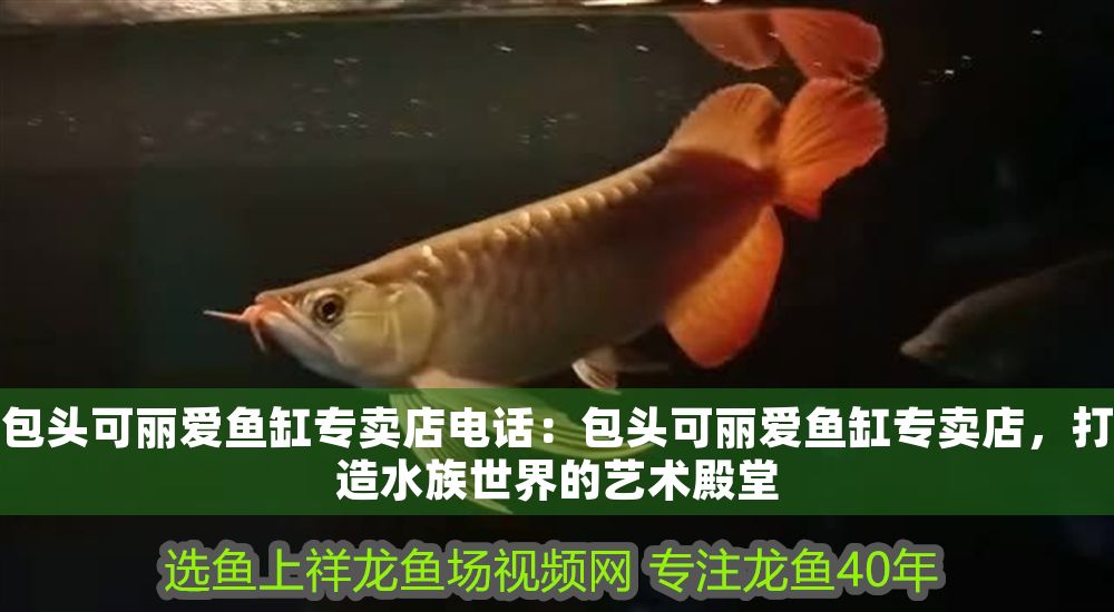 包頭可麗愛魚缸專賣店電話：包頭可麗愛魚缸專賣店，打造水族世界的藝術殿堂 包頭可麗愛魚缸專賣店電話：包頭可麗愛魚缸專賣店，打造水族世界的藝術殿堂 iwish愛唯希品牌魚缸 第1張