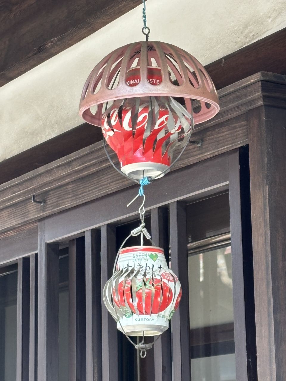 我的虎魚(yú)真菌感染了要怎么處理 小玩意 龍魚(yú)論壇 小玩意 小玩意 龍魚(yú)論壇