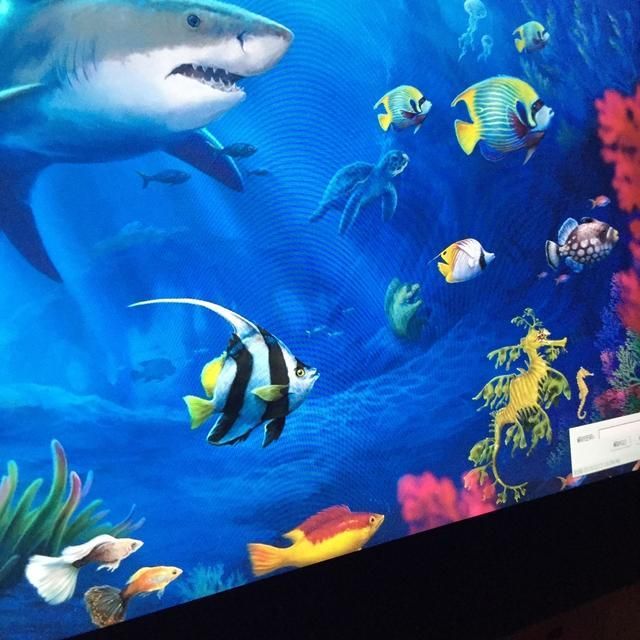 好的水族館：城崎海洋世界潛水體驗報名新江之島水族館門票價格查詢