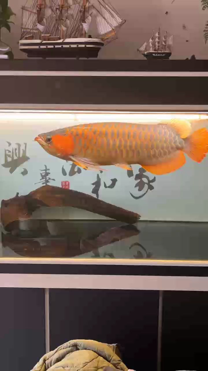 白燈，更干凈
