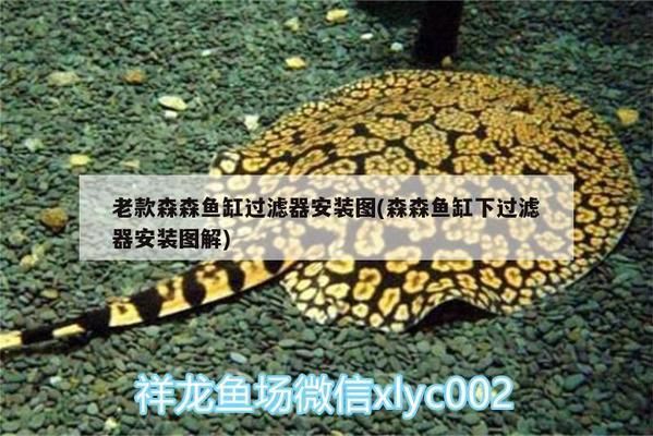 天津二手魚缸回收上門電話號碼（天津二手魚缸回收上門電話號碼多少）