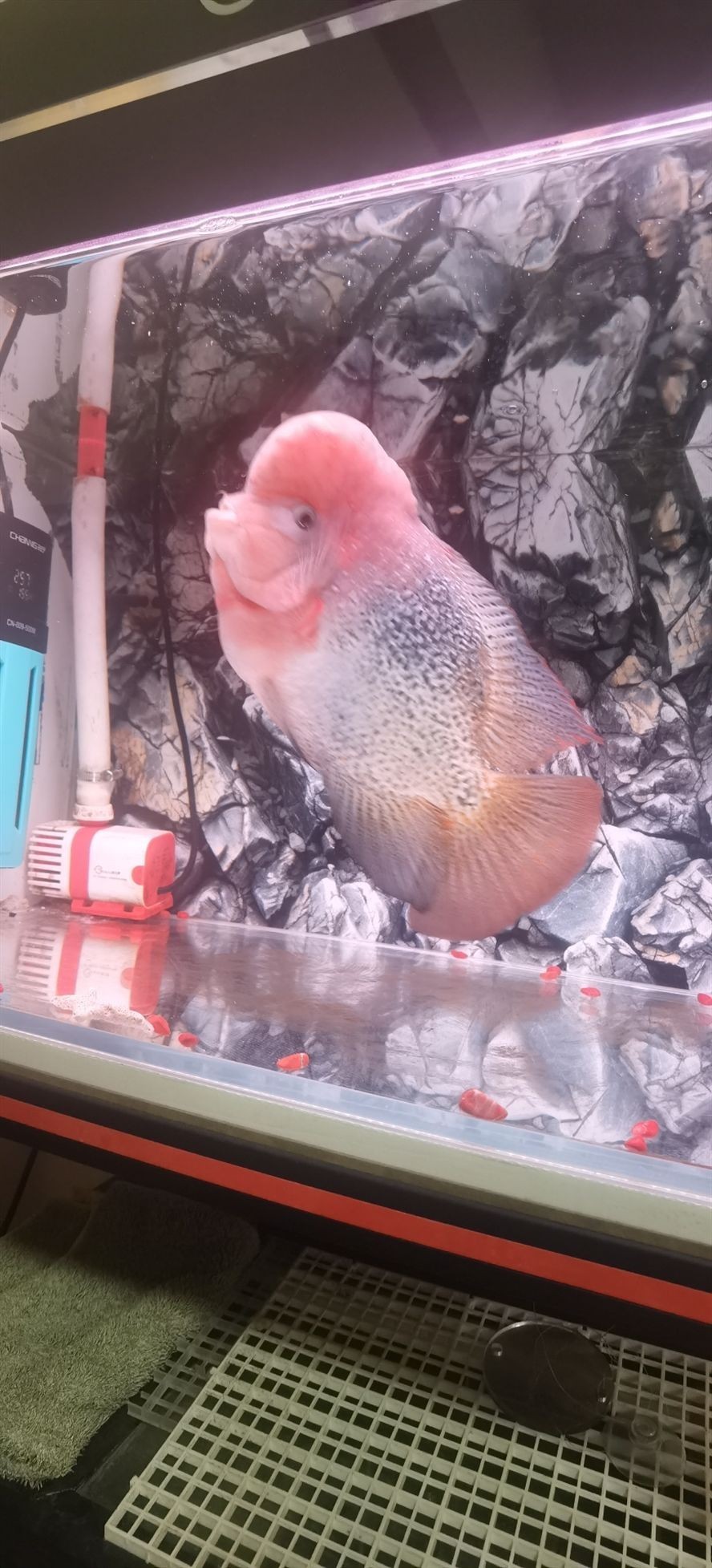 小圈圈