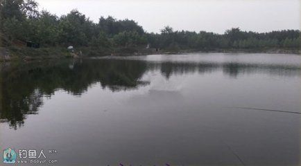 小虎魚苗喂什么好養(yǎng)：小虎魚苗喂養(yǎng)指南