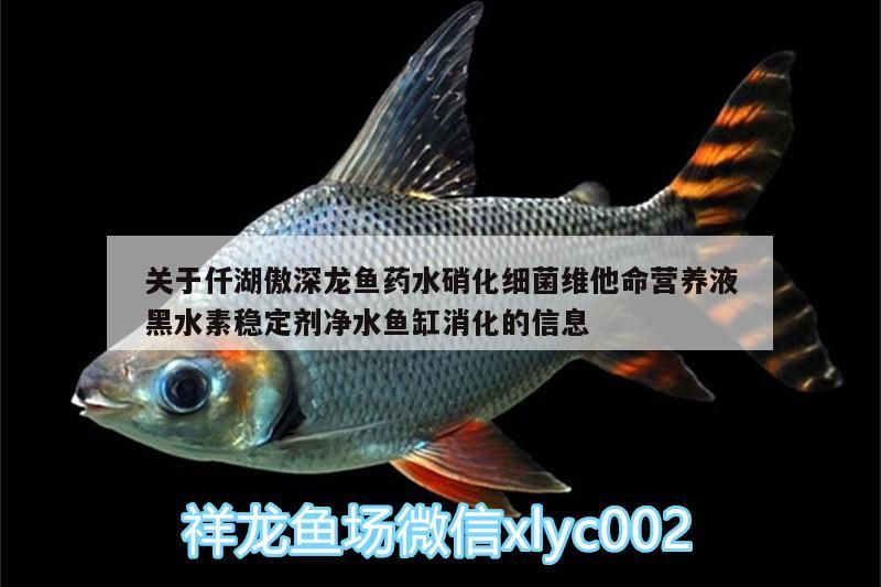 關(guān)于仟湖傲深龍魚藥水硝化細(xì)菌維他命營(yíng)養(yǎng)液黑水素穩(wěn)定劑凈水魚缸消化的信息 關(guān)于仟湖傲深龍魚藥水硝化細(xì)菌維他命營(yíng)養(yǎng)液黑水素穩(wěn)定劑凈水魚缸消化的信息 仟湖