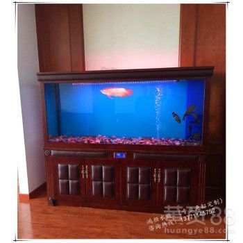 黑白魟魚繁殖魚缸多大合適：黑白魟魚繁殖魚缸多大合適黑白魟魚繁殖魚缸多大合適