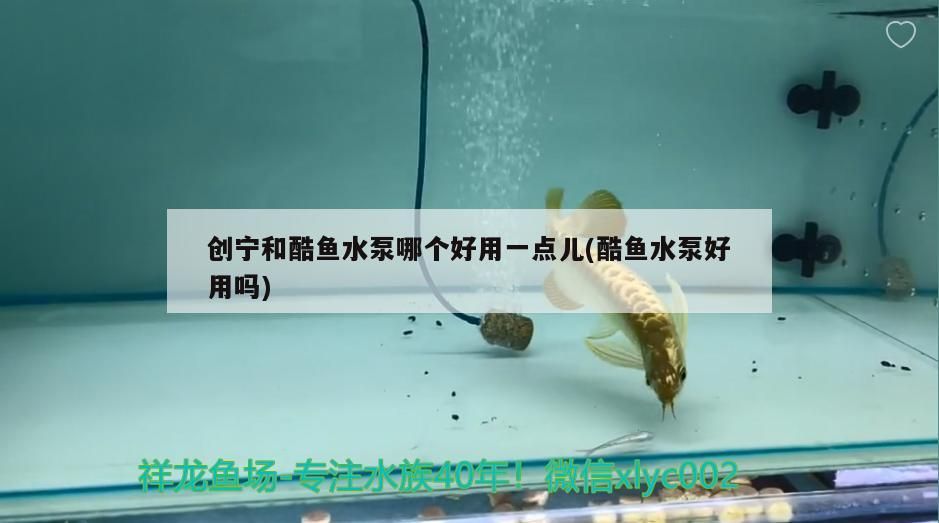 創寧和酷魚水泵哪個好用一點兒(酷魚水泵好用嗎)