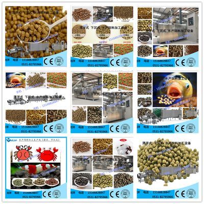 觀賞魚飼料生產廠家（中國觀賞魚飼料行業(yè)市場前景分析預測報告搜狐新聞）