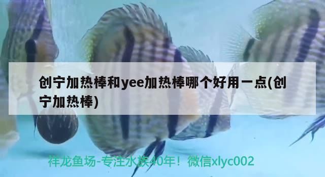 創寧加熱棒和yee加熱棒哪個好用一點(創寧加熱棒) 創寧加熱棒和yee加熱棒哪個好用一點(創寧加熱棒) yee
