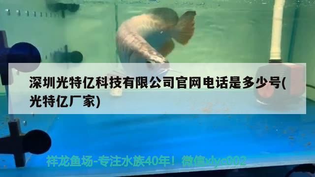 深圳光特億科技有限公司官網電話是多少號(光特億廠家) 深圳光特億科技有限公司官網電話是多少號(光特億廠家) 光特億