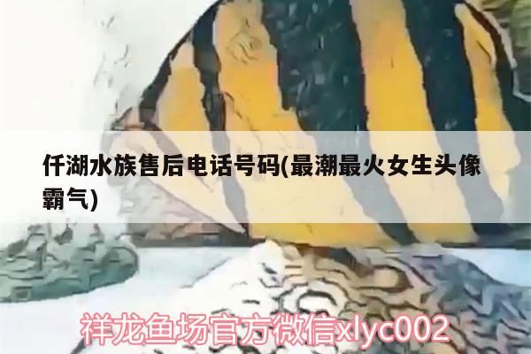 仟湖水族售后電話號碼(最潮最火女生頭像霸氣)