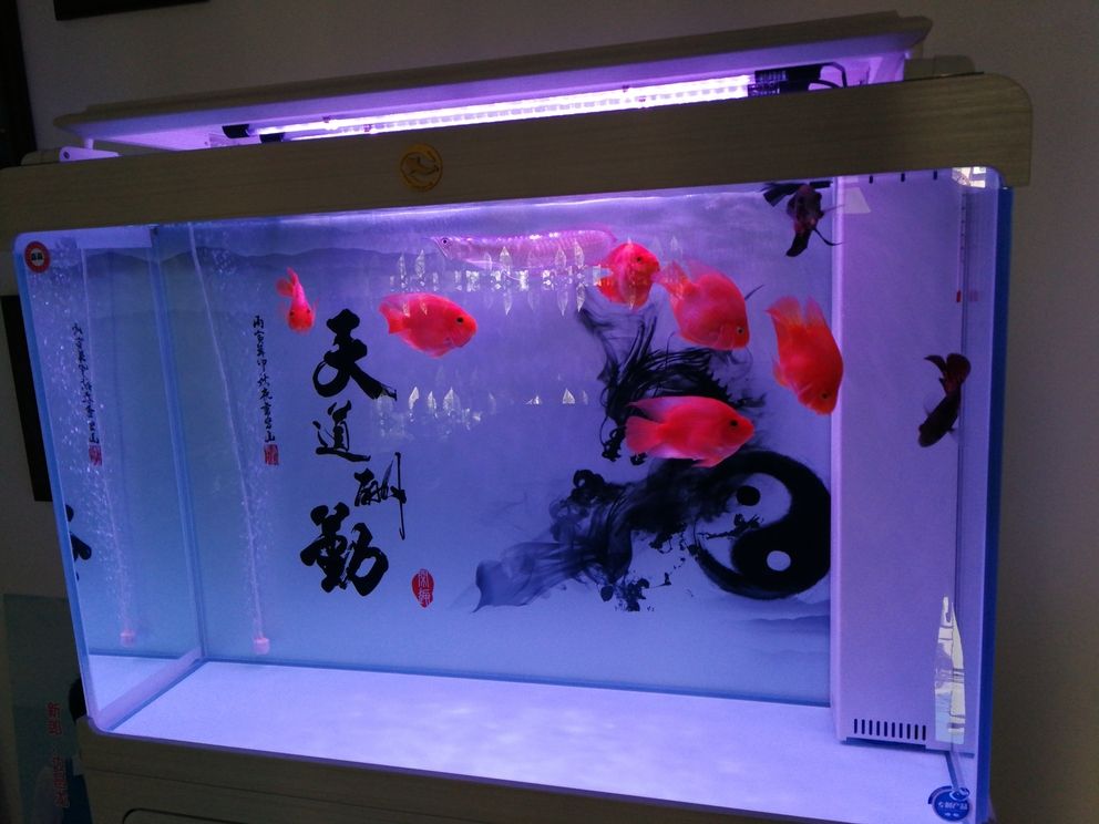 怎么才能擁有一臺水泵