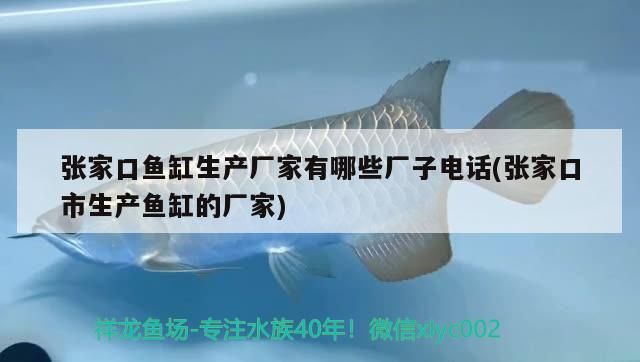 張家口魚缸生產廠家有哪些廠子電話(張家口市生產魚缸的廠家)
