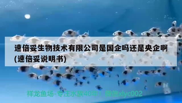 速倍妥生物技術(shù)有限公司是國(guó)企嗎還是央企啊(速倍妥說明書) 速倍妥生物技術(shù)有限公司是國(guó)企嗎還是央企啊(速倍妥說明書) 速倍妥