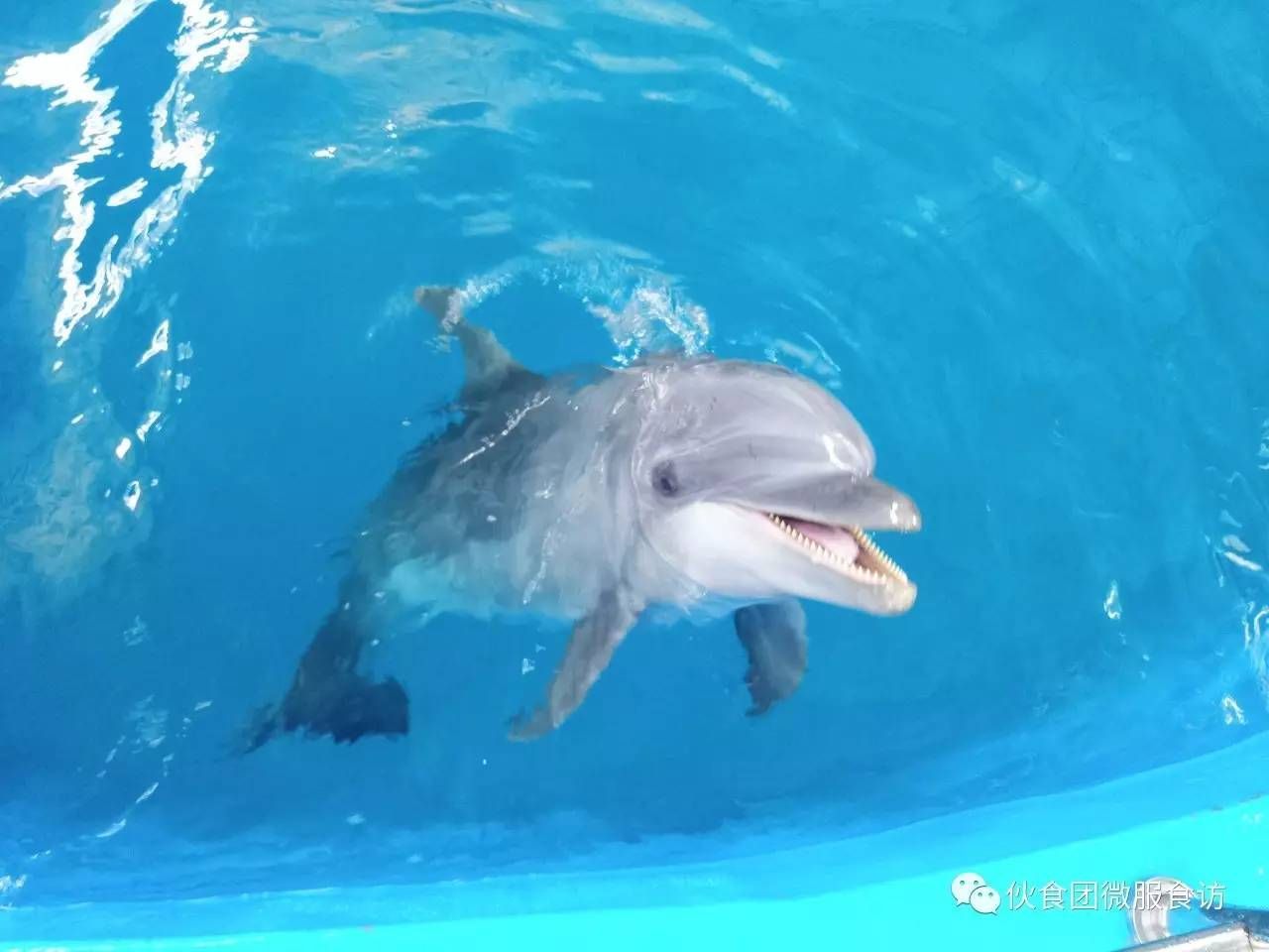 好聽的水族館名字大全集（一些好聽的水族館名字）