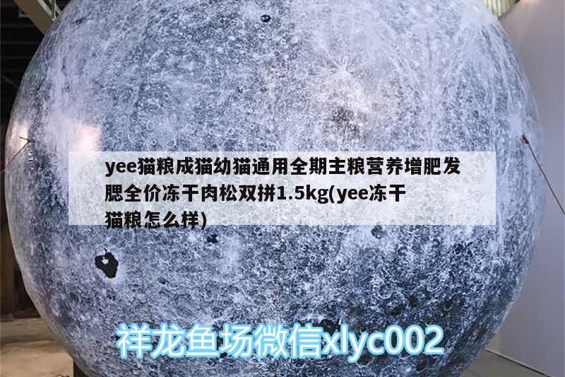 yee貓糧成貓幼貓通用全期主糧營養(yǎng)增肥發(fā)腮全價凍干肉松雙拼1.5kg(yee凍干貓糧怎么樣)