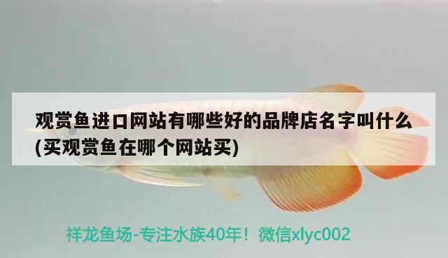 北京仟湖水族觀賞魚及寵物有限公司安貞店
