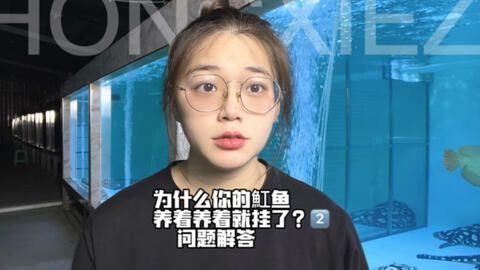 魟魚吃得多就是不長：關(guān)于魟魚的飲食和生長的知識