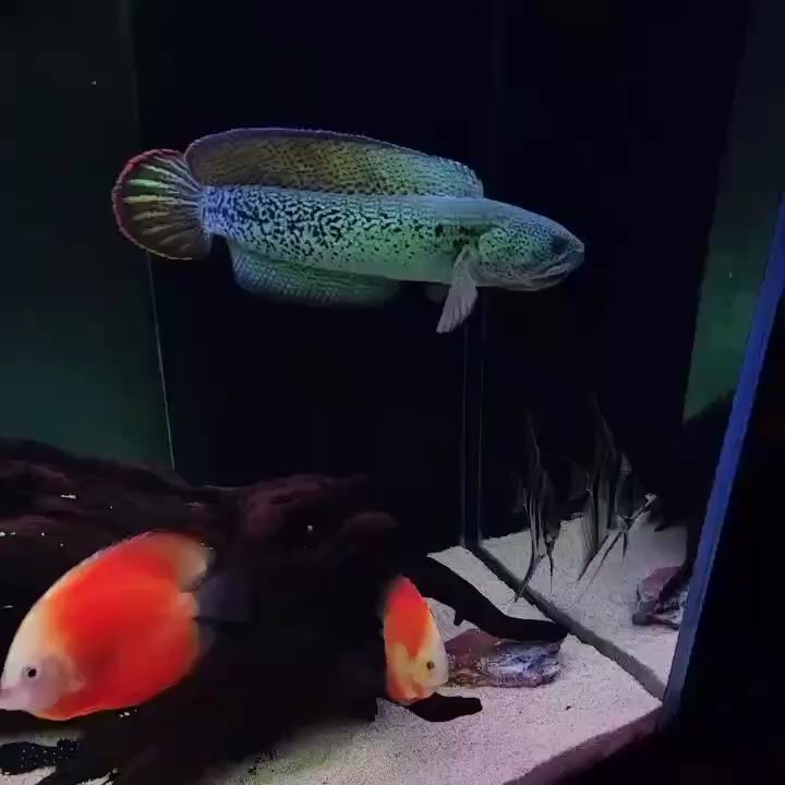 一