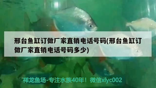 邢臺魚缸訂做廠家直銷電話號碼(邢臺魚缸訂做廠家直銷電話號碼多少)