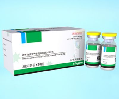 速倍妥b2藥怎么樣：速倍妥b2藥在治療觀賞魚的一些常見病癥方面表現(xiàn)出較好的效果
