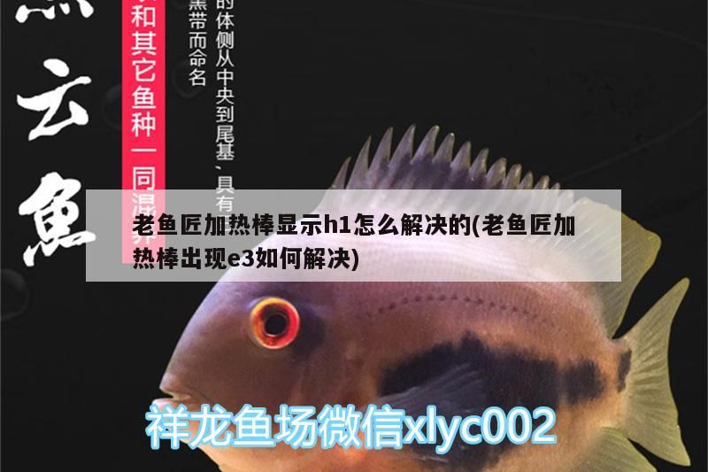 老魚匠加熱棒顯示h1怎么解決的(老魚匠加熱棒出現e3如何解決)