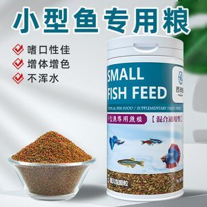 金龍魚喂錦鯉飼料可以嗎怎么喂 龍魚百科 第1張 金龍魚喂錦鯉飼料可以嗎怎么喂 金龍魚喂錦鯉飼料可以嗎怎么喂 龍魚百科 第1張