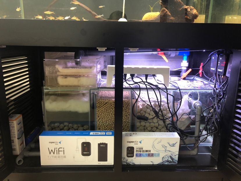 張掖觀賞魚市場(chǎng)申請(qǐng)光特億智能wifi水泵6000流量