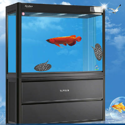 彩蝶魚缸上水管多大口徑好看些（彩蝶魚缸下f款水管安裝圖）